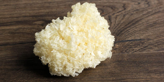 Tremella: El Hongo de la Belleza y la Hidratación Profunda